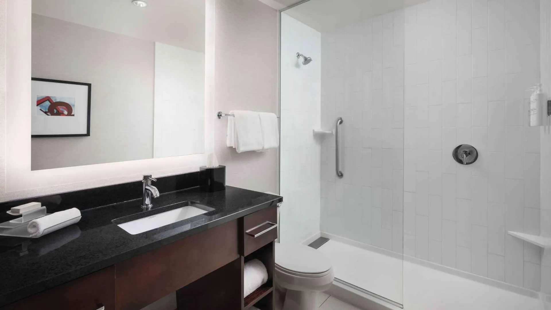 Homewood Suites- Denver Downtown Convention Center Hotel